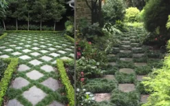 Kyoto Super Dwarf Mondo Grass - 3 Pack Of Pint Pots -Lawn Starter Shop Grass Mondo Super Dwarf Combo